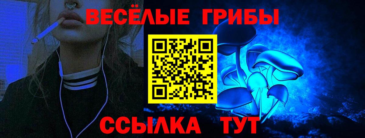 где продают наркотики  Вход с VPN  Саяногорск  Галлюциногенные грибы мицелий 